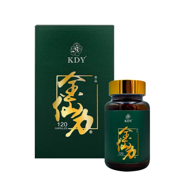 KDY | 金仙力